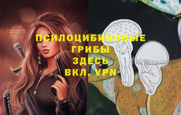 марки nbome Алзамай