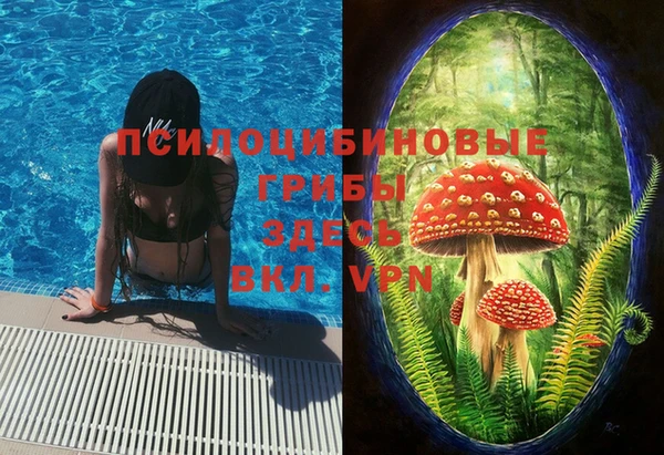 марки nbome Алзамай