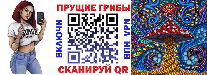 Галлюциногенные грибы прущие грибы  магазин продажи наркотиков  Нурлат 
